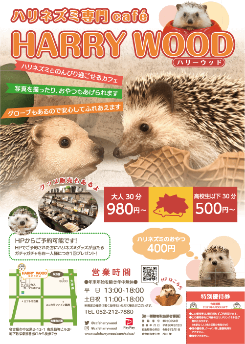 ハリネズミ専門Cafe HARRY WOOD