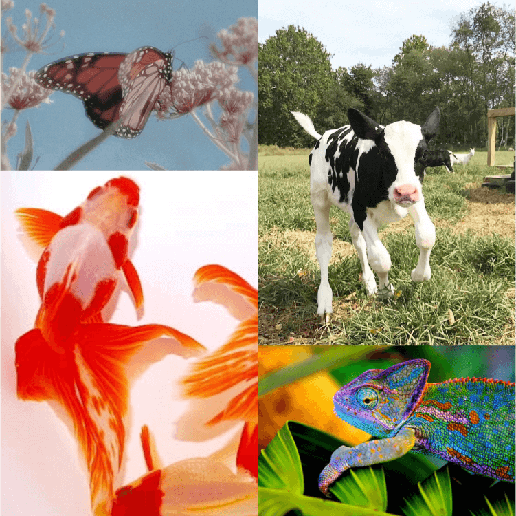 テーマイメージ